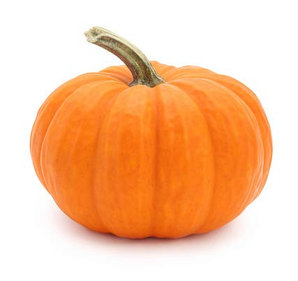 Mini Orange Pumpkin, 1 Each