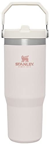 Stanley IceFlow Flip Straw Tumbler with Handle | Twist On Lid and Flip Up Straw | Leak Resistant Water Bottle | Insulated Stainless Steel | BPA-Free image 1