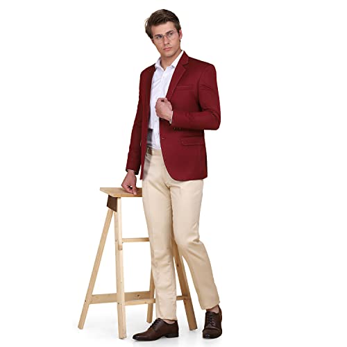 Image of TAHVO Men Slim FIT Printed RAJWADA Formal Suit Set