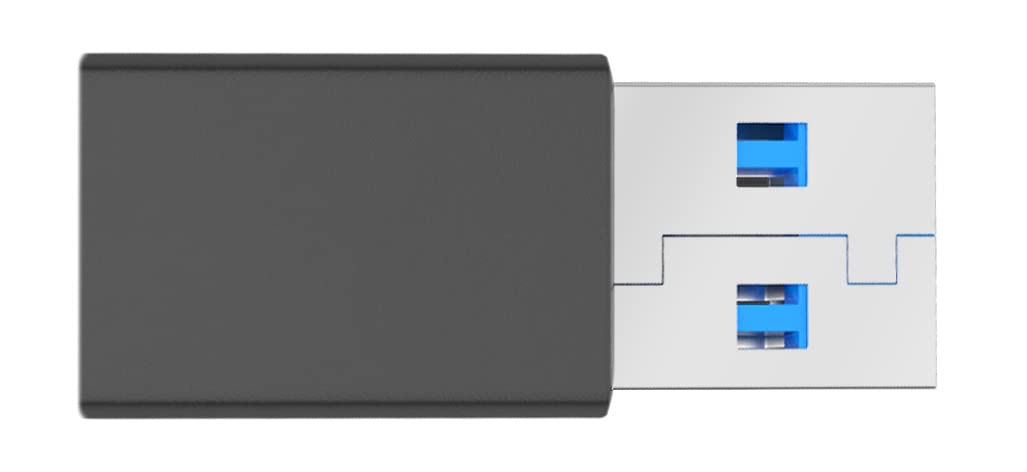 Iiyama Wp D002c - NetzwerkmedieN-StreaminG-Adapter - Silver/black (wp D002c)
