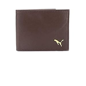 Gannet Mens Brown Leather Wallet-GT22