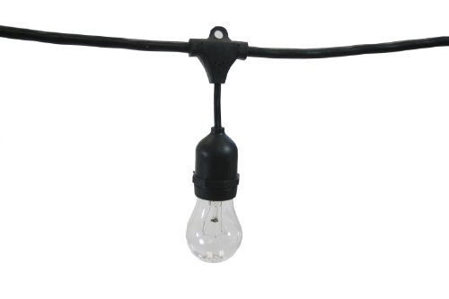 String Light Company Vintage 48-Ft Outdoor Commercial String Lights with 15 Suspended Sockets and 15 Clear S14 Bulbs, 14 Gauge Black Cord