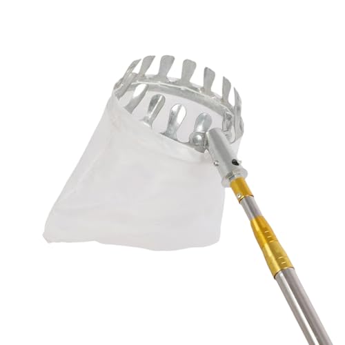 ���؂̔_�Y����v���Ɏ��n���邽�߂ɊJ�����ꂽ�����I�ȐL�k���|�X�g�t���[�c�c�[�� �K�i�̌��@ �m���ȋ������Z���N�^�[