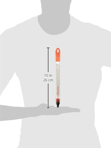Miniatura 2 de Termómetro de vidrio flotante de 8 pulgadas
