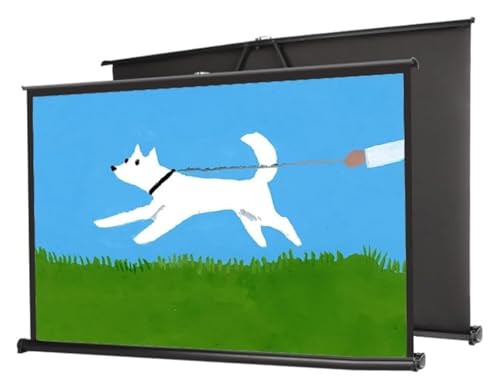 Pantalla de proyección manual retractil de 40 pulgadas 16:9