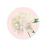 Caspari Duchess Peonies Disposable Paper Salad & Dessert Plates in Blush, 16 Count