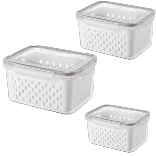 FIUTEKO Lot de 3 boîtes de rangement, organiseurs de cuisine, avec couvercle, boîtes de conservation, boîtes de rangement, pour réfrigérateur, grises