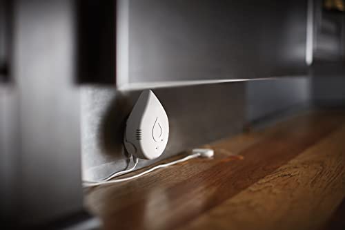 Smart Water Leak Detection System