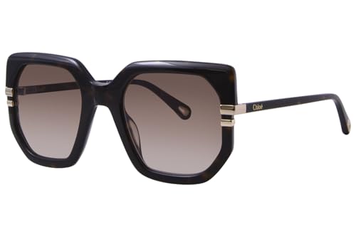 Brown Chloe CH0240S Sunglasses