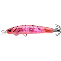 Amazon | ラッキークラフト(LUCKY CRAFT)エギトライブ60 (2.0号