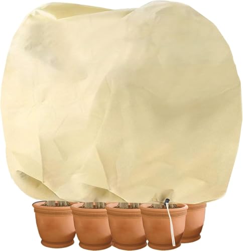 CT Housse hivernage pour plantes, Housse d'hivernage Non tissée 80 g/m² Protection Contre Le Gel...