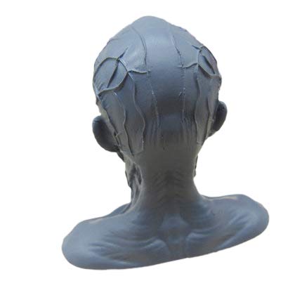 BONEW Human Model Craft Anatomy Skull Head Muscle Bone Medical Artist Drawing Study Model (White)