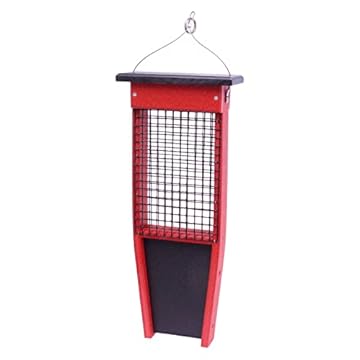 best bird feeders for flickers that will transform your backyard experience 1 best bird feeders for flickers