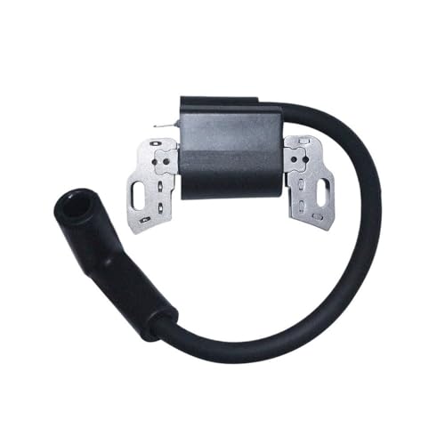 Bobine d'allumage magnéto pour moteur 593872 798534 pièce de rechange