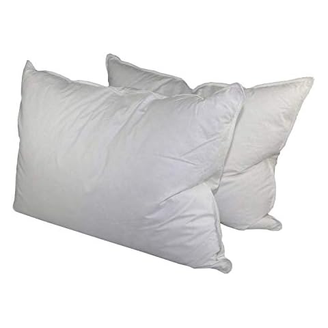Down Dreams Classic King Pillow Set of 2 Cover