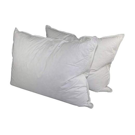 Down Dreams Classic King Pillow Set of 2