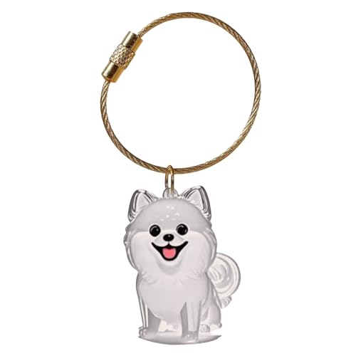 Navna Haustier-Schlüsselanhänger für Hundehaare oder Einäscherung von Asche, in robuster Box, Schlüsselanhänger, sentimentales Haustiergeschenk