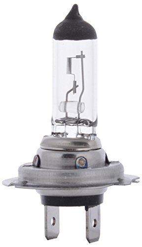 Image of Bosch F002H50035 H7 Halogen Headlight Bulb (12V, 55W) | Set of 1 | White