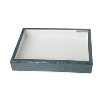 大型標本箱　2箱とペフ1枚 UVカット・ペフなし】大型ドイツ型標本箱[黒] - 昆虫採集