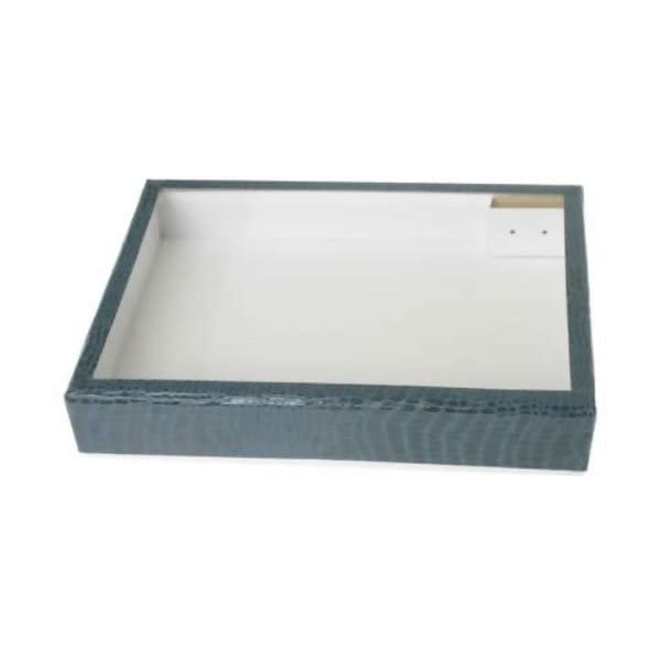 Amazon | 志賀昆虫普及社 ボール紙製標本箱 大型【虫の音楽会