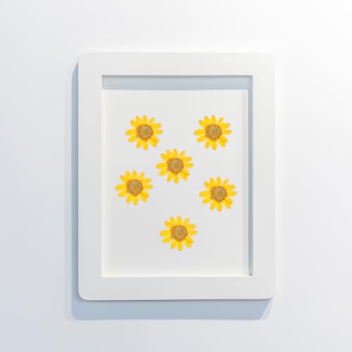 TEHAUX 2 sets flores secas para manualidades 48 pcs miniatura 5