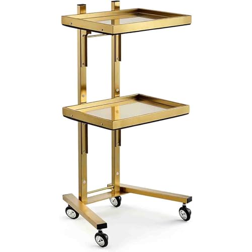 LPMHDTV 2-Tier Metal Rolling Cart, Stainless Steel Salon Storage Stand, with Wheels Tray Storage Cart, for Bedroom Tattoo Shop