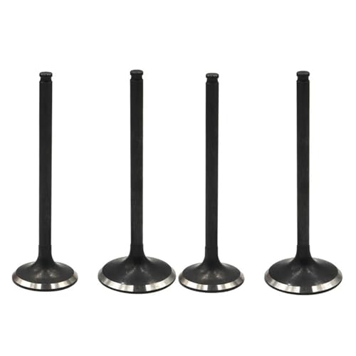 Soupape d'échappement moto pour CRF250R 2004-2009 et CRF250X 2004-2017 - Kit de 2 pièces