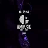 Primitive State Records