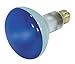 Satco S3228 75 Watt BR30 Incandescent 130 Volt Medium Base Light Bulb, Blue