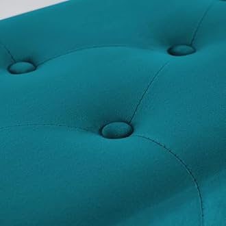 Dence Store Metal End of Bed Bench-Upholstered Entry Shoe Storage with Nailhead Trim,Black Mental Frame Ottoman Bench for Bedroom Entry Window Mudroom Living Room (Sky Blue)