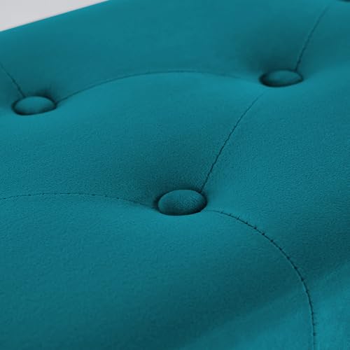 Dence Store Metal End of Bed Bench-Upholstered Entry Shoe Storage with Nailhead Trim,Black Mental Frame Ottoman Bench for Bedroom Entry Window Mudroom Living Room (Sky Blue)