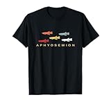 Aphyosemion Aquarium Ideas
