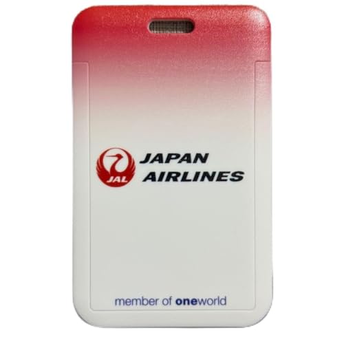 JAL {q oneworld ICJ[h pXP[X QbW^O