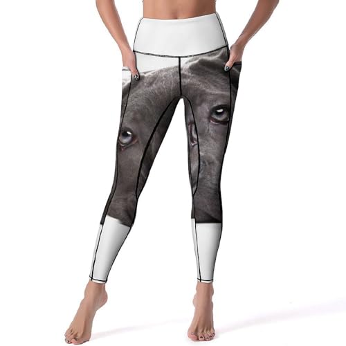 Leggings pour fitness gym pantalon de sport femmes chiot noir taille S