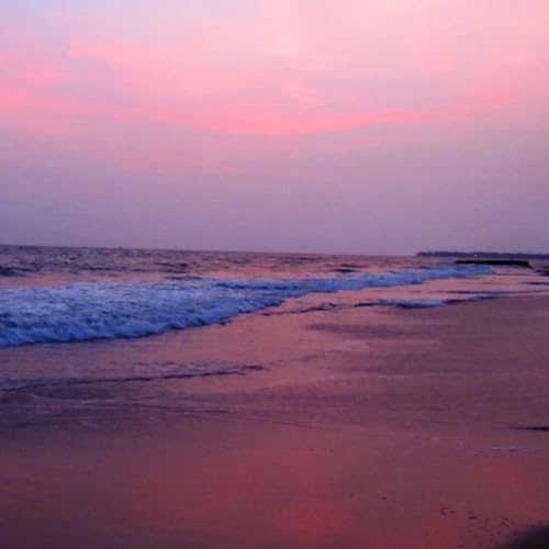 কান্নুর, কেরালার ইতিহাস বিস্মৃত সমুদ্র সৈকত! Kannur, the forgotten beach of Kerala!