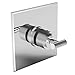 Newport Brass 3-994LTS/24 Single Handle Square Thermostatic Valve Trim with Metal Lever Handle from the Ea, Polished Gold