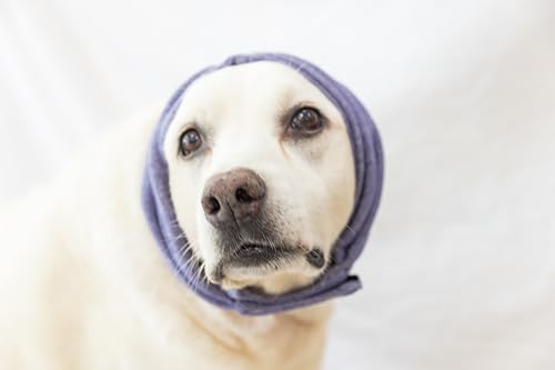 Image of Calming Dog Ear Cover & Neck Gaiter - Anti-Anxiety Soothing Snood for Stress Relief, Surgery Recovery, Bathing, Grooming, Thunder & Fireworks Purple L