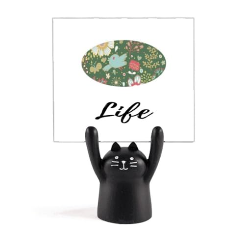 _[NO[̉Ԃ̐Ah J[gD[LX^h^z_[