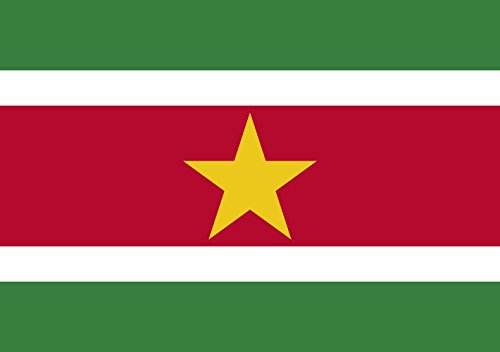 Drapeau Suriname de qualité supérieure 70x100cm finition paysage - 2