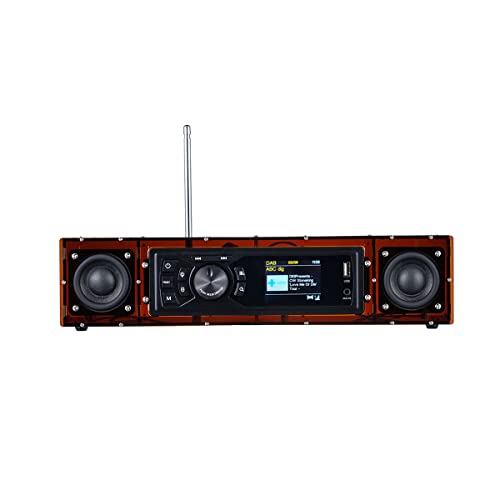 AOVOTO bruin ALK103 FM/DAB-radio Doe-het-zelf (doe-het-zelf) kits met acryl omhulsel, doe-het-zelf DAB+/FM-sets met alarmmodus & LCD-display & stereogeluid