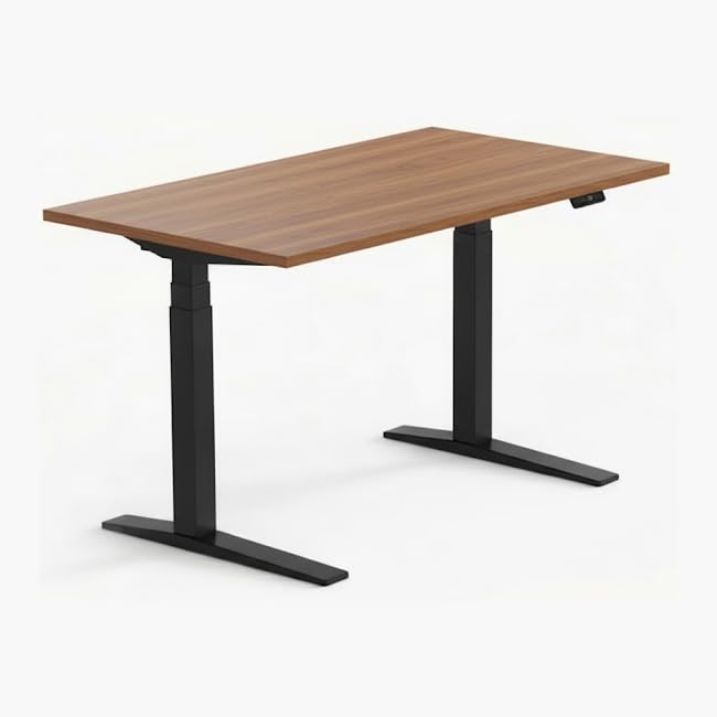 FLEXISPOT E7 Pro Heavy-Duty Standing Desk | Dual Motor, 3 Stage