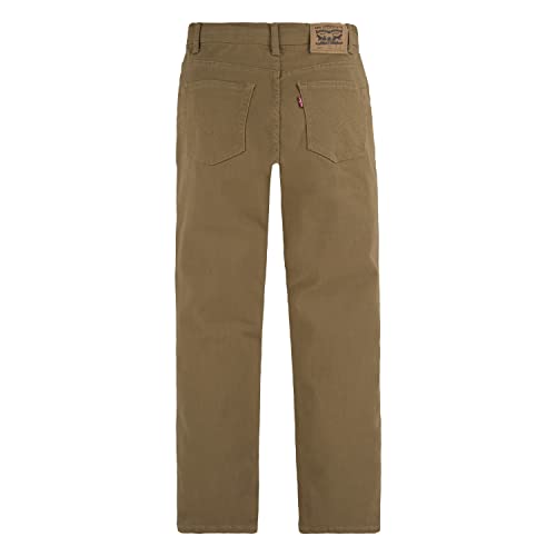 Levi's Big Boy's 502 Regular Taper Jeans Pants, Dijon, 12 #TOP1