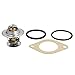 Behr Thermot-Tronik Tx 13 71D - Termostato, Refrigerante - 3