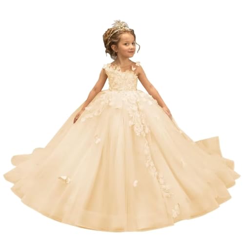 3D Butterfly Applique Dress Flower Girls Dresses Lace Tulle Pageant Dress for Girls Birthday