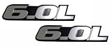 6.0L Liter Engine Silver Aluminum Badge Emblems Compatible with Chevy Tahoe Suburban Gmc Vortec V8 Truck (Pack of 2)