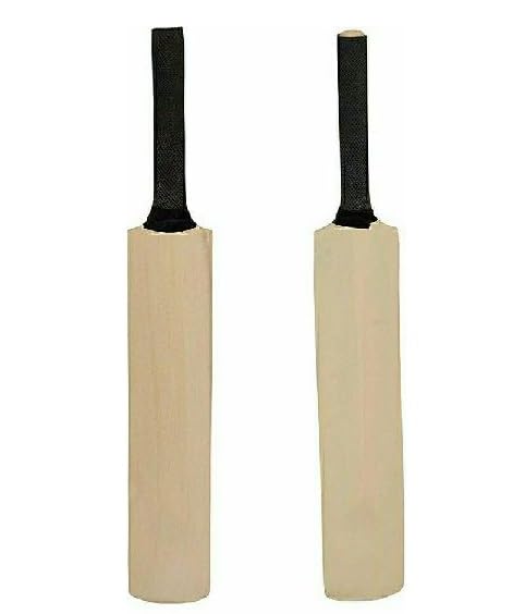 Mini battes de cricket autographes bois de manguier objet de collection 567F