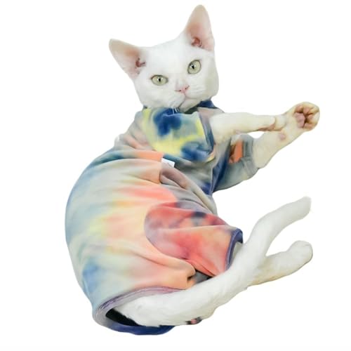 UOSIA XtBNXL̕xxbgvI[o[ybgRX`[pW}\tgŒgqL̃ApXtBNXAR[jbVbNXAf{bNXp