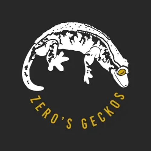 Starting The Gecko Pod- GCC Episode 23 - Zeros Geckos