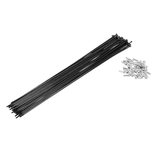 PARSKILO 38 Set 14G Bicycle Spoke 295 mm Bike Wheel Spoke Carbon Steel Black