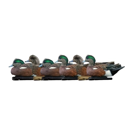 Avian X Topflight Wigeon Decoys, Rugged Realistic Floating Duck Decoys for Hunting, Weight Forward Swim Keel, Set of 6, Multicolor